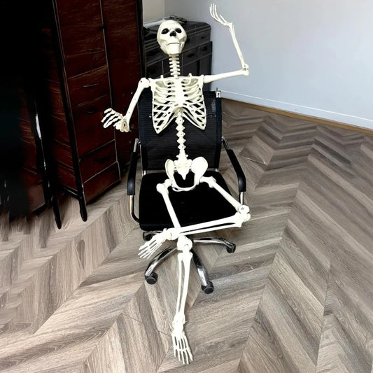 Life-Size Human Skeleton – Realistic Posable Bones for Haunted House & Halloween Horror Decor